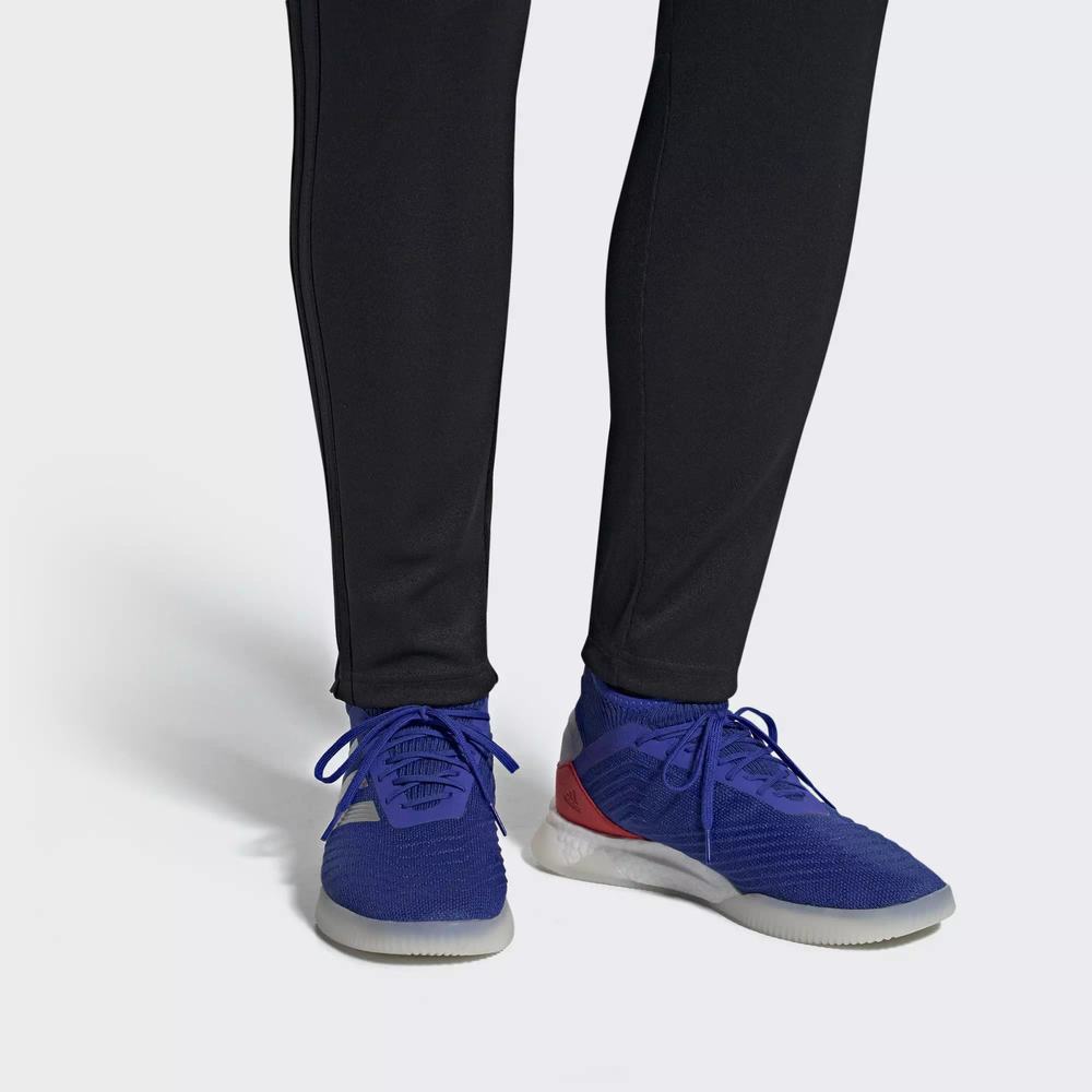 Adidas Predator 19.1 Tenis De Futbol Azules Para Mujer (MX-62832)